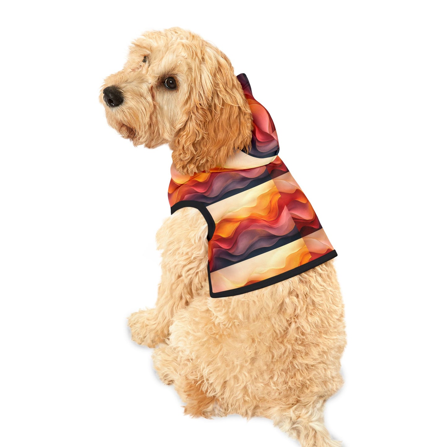 Ombre Dunes Pet Hoodie