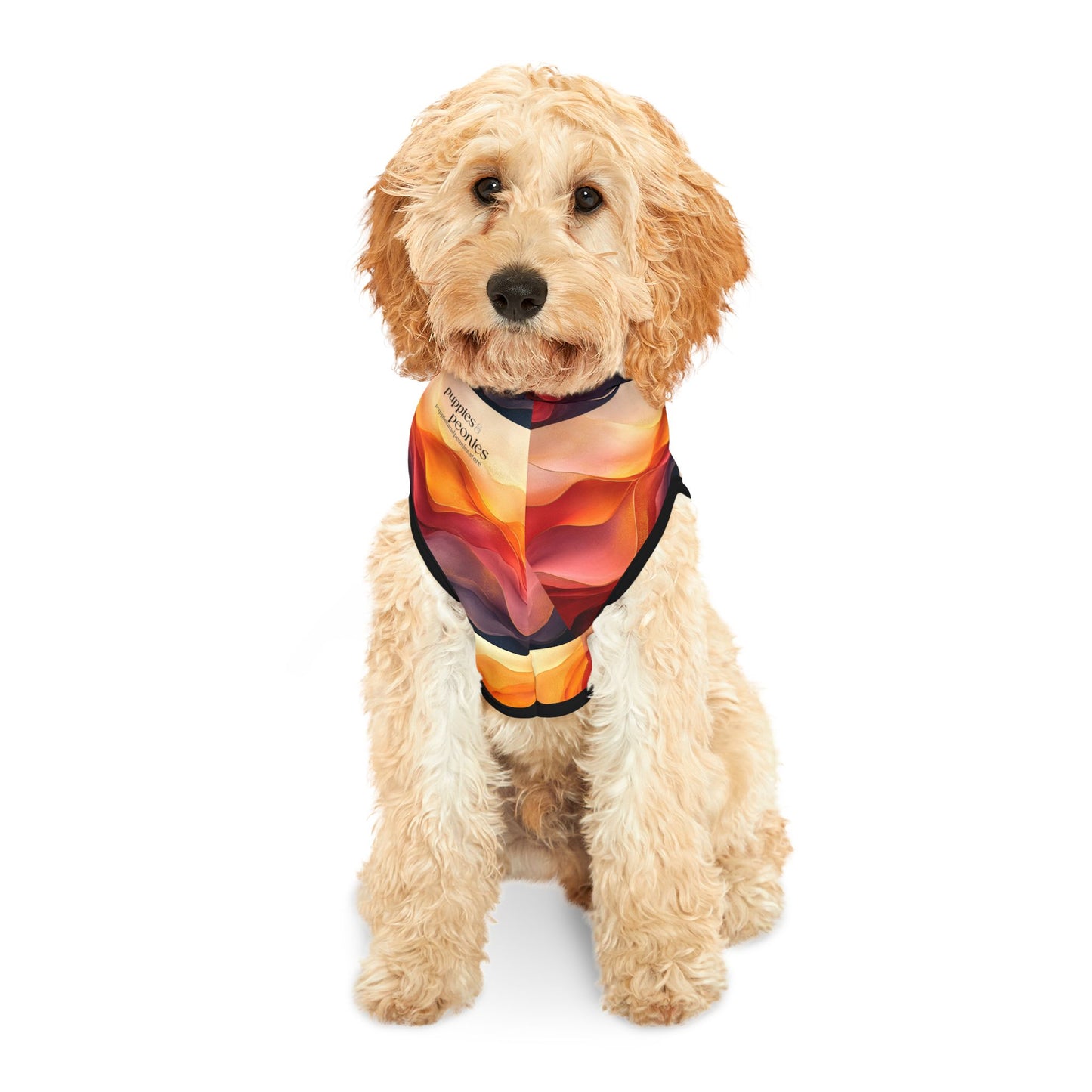 Ombre Dunes Pet Hoodie